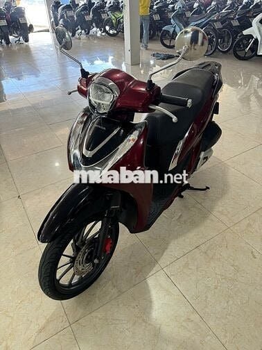 Shmode 2021 abs