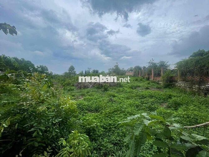 📍 Vị trí: Xuân Lộc, Đồng Nai 📐 Diện tích: 1710,4 m²  💰 Đơn giá: 2.277