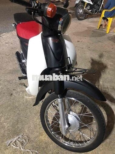 cub 50 cc
