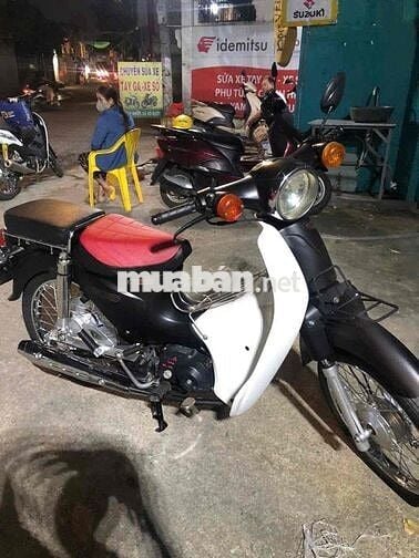 cub 50 cc