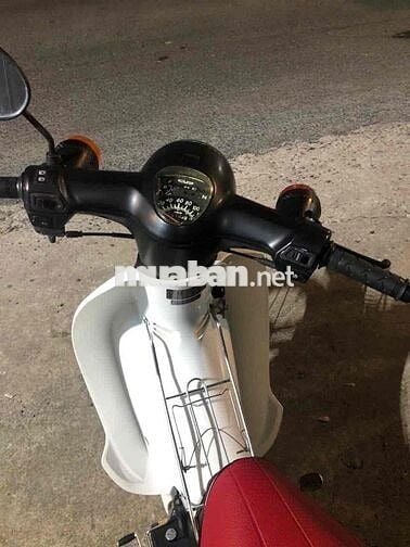 cub 50 cc