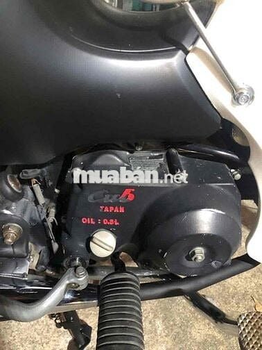 cub 50 cc