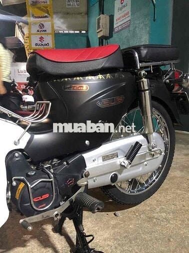 cub 50 cc