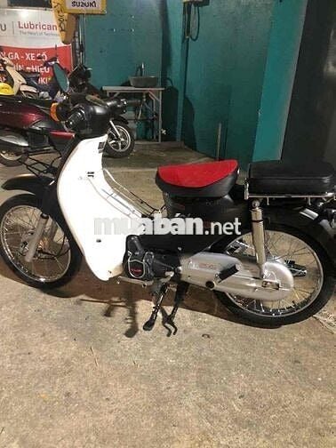 cub 50 cc