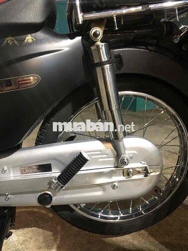cub 50 cc