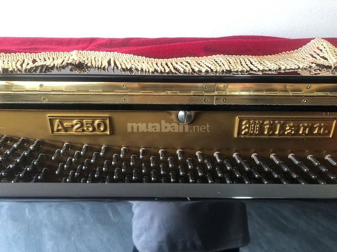 Bán đàn piano cơ Wilson A-250 Nhật Bản