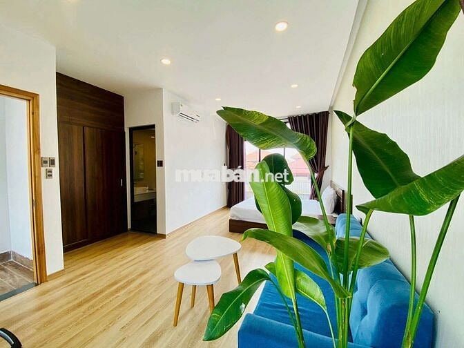 Cho thuê biệt thự hồ bơi, gần biển