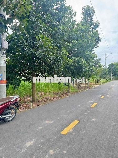 BÁC EM CẦN BÁN LẠI MIỆNG ĐẤT Ở PHÚ GIÁO BINH DƯƠNG MT ĐƯỜNG NHỰA