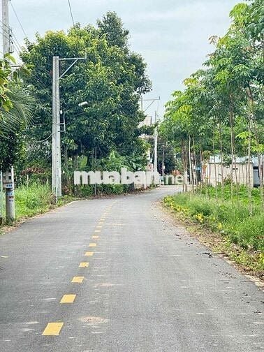 BÁC EM CẦN BÁN LẠI MIỆNG ĐẤT Ở PHÚ GIÁO BINH DƯƠNG MT ĐƯỜNG NHỰA