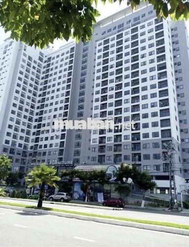 Căn  góc  tầng 18 Sơn Trà Ocean View