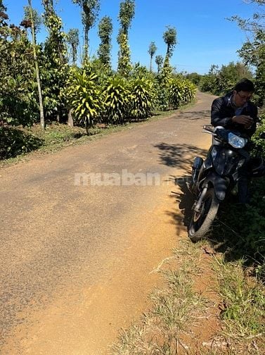 BÁN GẤP 5 LÔ ĐẤT GIÁ CẮT LỖ CHỈ 550 TRIỆU/LÔ , ĐẤT MẶT TIỀN ĐƯỜNG NHỰA