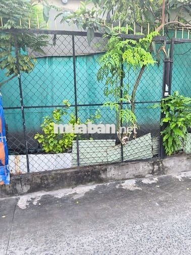 Nhà ở cần bán.cong năng đây đu . mặt đường rộng vừa hai xe tránh nhau