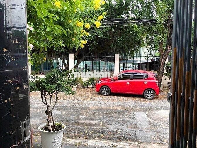 Cho Thuê Nhà 7x20m Đường Phạm Ngọc Thảo, Tân Phú ( 5PN,5WC )