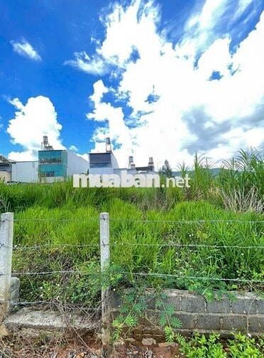Bán gấp 1ty2 đất thổ cư 116m2 mặt tiền Dương Đình Cúc, Bình Chánh. shr