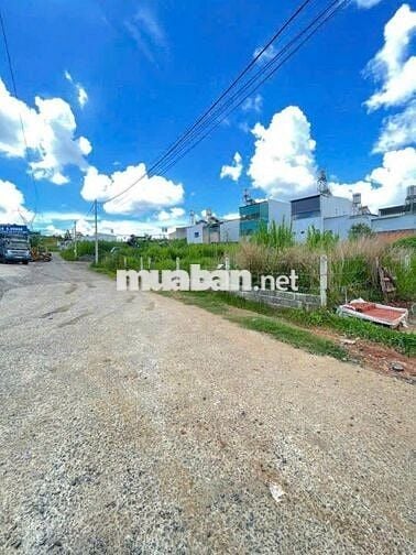 Bán gấp 1ty2 đất thổ cư 116m2 mặt tiền Dương Đình Cúc, Bình Chánh. shr