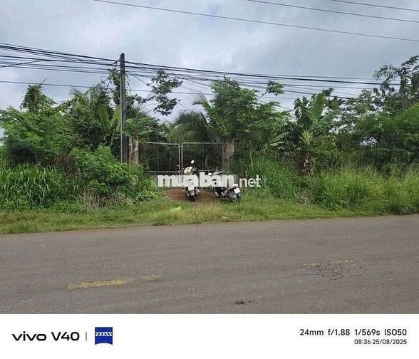 Bán 1sao2. Đất full hồng, vườn trái cây đủ loại
Giá Ngộp