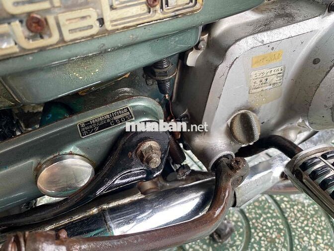 cub nhật 50cc