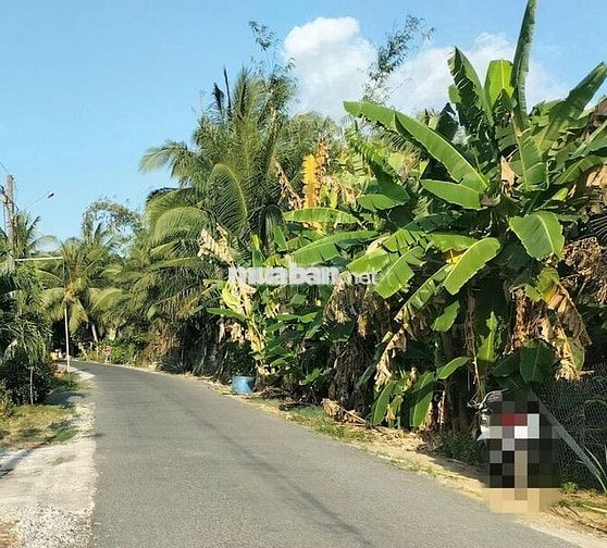 Bán đất thổ cư 381m²  xã Vĩnh Thành – An Giang, giá 950 triệu