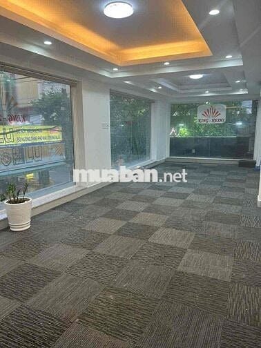 Cho thuê VP 80m2 Nguyễn Minh Hoàng khu K300 sát bên sân bay