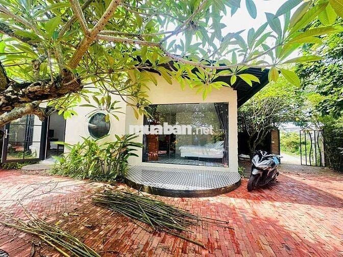 CHO THUÊ BIỆT THỰ SÂN VƯỜN KHU DÂN CƯ HƯNG PHÚ