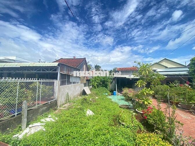 Bán đất thổ cư 381m²  xã Vĩnh Thành – An Giang, giá 950 triệu