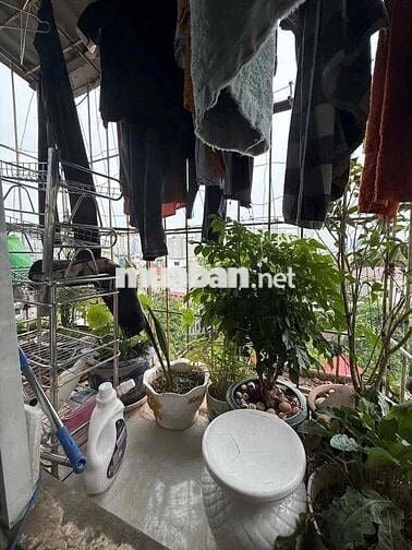 Bán 2 Căn CCMN 2n2wc - Sổ Hồng Chung Phôi Từng Căn - Khương Hạ