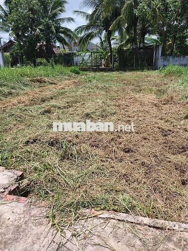 5x31 MT đường nhựa 6m Nguyễn Thị Rành - Ngay chợ Trung Lập Hạ - SHR