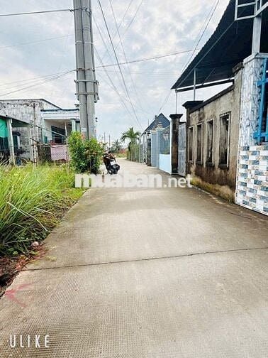 Chính chủ bán đất 117m2 Hương Lộ 11,Bình Chánh,Gần BHX,giá 2,27Tỷ