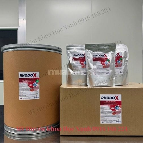 🌿 RHODO X – Chế phẩm sinh học xử lý nước cao cấp cho ao nuôi tôm cá