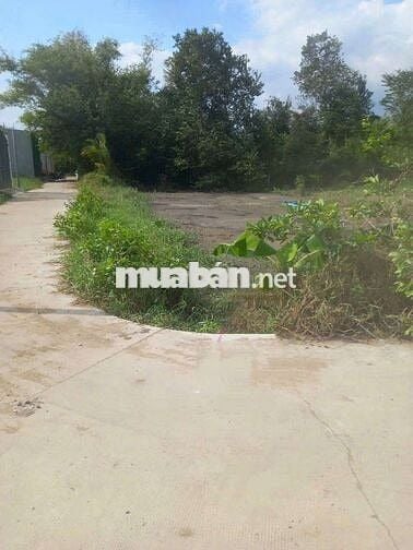 CẦN TIỀN CẤT NHÀ TP CHỦ GỬI BÁN GẤP ĐẤT 2 MẶT TIỀN FULL THỔ CƯ 186M2