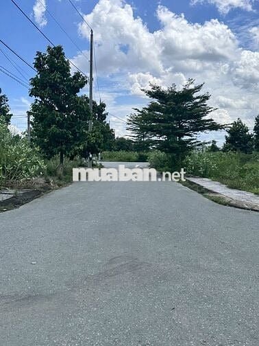 CHÍNH CHỦ BÁN LÔ ĐẤT Ở Hoàng Phan Thái, Bình Chánh, 80m2, chỉ 1,45 tỷ