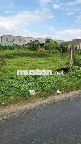 CHÍNH CHỦ BÁN LÔ ĐẤT Ở Hoàng Phan Thái, Bình Chánh, 80m2, chỉ 1,45 tỷ