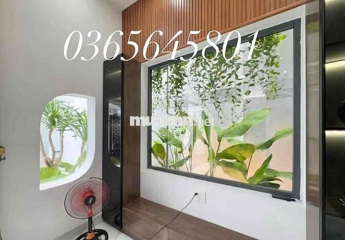 Phát mãi nhà giá rẻ Bình Chánh