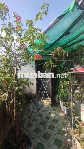 Nhà mặt tiền Trần Văn Giàu. DT 100m2, 1 trệt 1 lầu 6 PN.