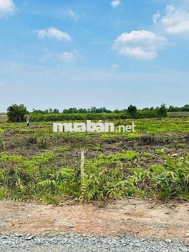 Đất nền 10x40 352m2 thổ cư, Đường Rộng đá xanh