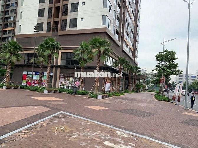 Cho thuê shophouse Căn góc Akari 1 trệt 1 lầu 220m2 giá 100 tr