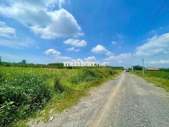 BÁN ĐẤT NỀN LONG ĐỨC – LONG THÀNH, ĐỒNG NAI 🔥