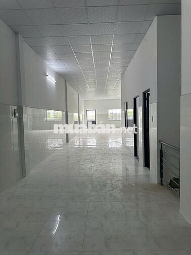 Cần bán gấp kho 461m2 ở 499 Lê Minh Xuân, Huyện Bình Chánh, TP. HCM