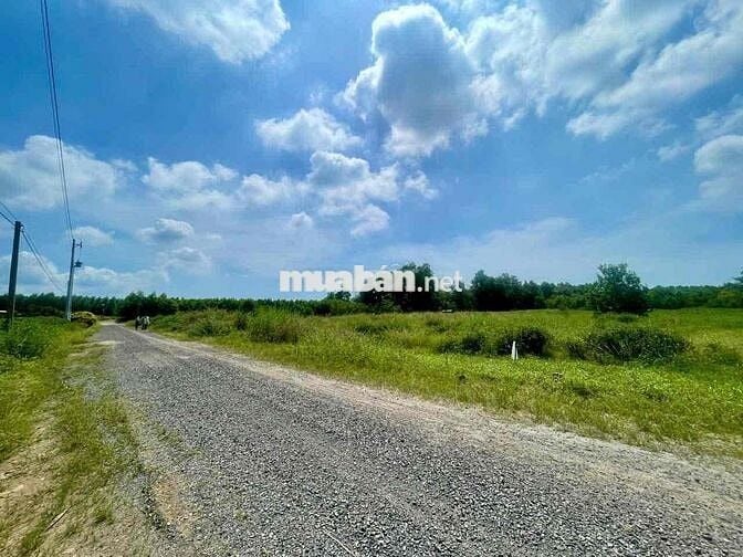 BÁN ĐẤT NỀN LONG ĐỨC – LONG THÀNH, ĐỒNG NAI 🔥
