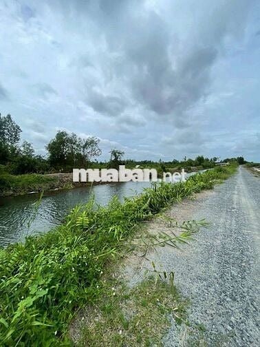 🌷Đất vườn dt 1001m giá 890tr.mặt tiền view kênh thạnh Hòa bến lức.