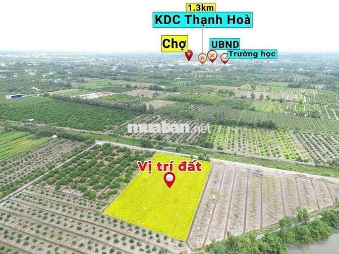 🌷Đất vườn dt 1001m giá 890tr.mặt tiền view kênh thạnh Hòa bến lức.