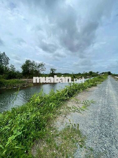 🌷Đất vườn dt 1001m giá 890tr.mặt tiền view kênh thạnh Hòa bến lức.