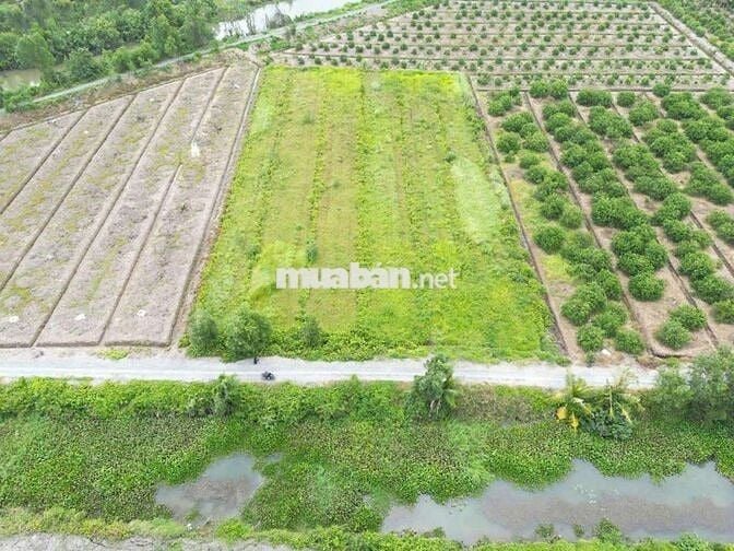 🌷Đất vườn dt 1001m giá 890tr.mặt tiền view kênh thạnh Hòa bến lức.