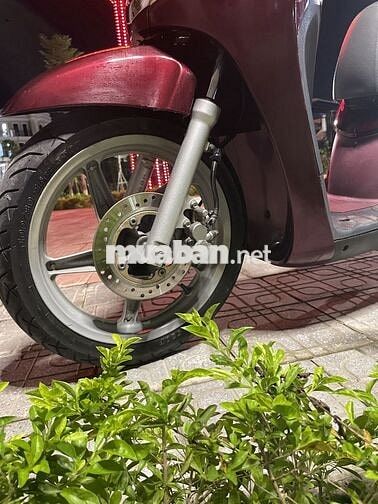 Sh 150 mận chín