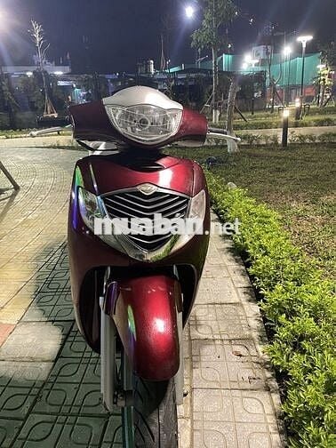 Sh 150 mận chín