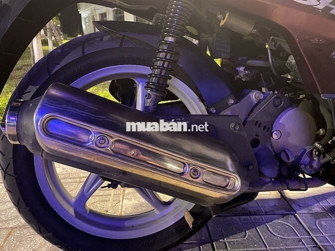 Sh 150 mận chín