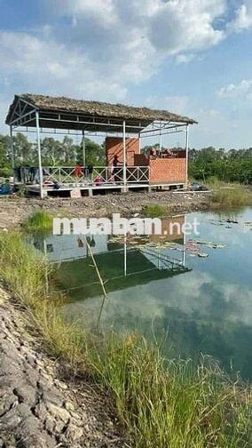 1100mv ĐẤT VƯỜN CÓ NHÀ VƯỜN , ĐƯỜNG ÔTÔ BẾN LỨC LONG AN