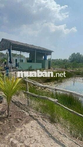 1100mv ĐẤT VƯỜN CÓ NHÀ VƯỜN , ĐƯỜNG ÔTÔ BẾN LỨC LONG AN