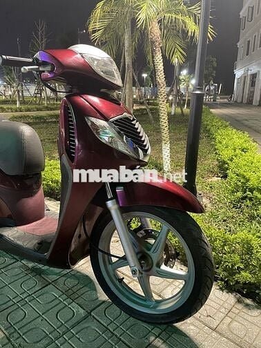Sh 150 mận chín