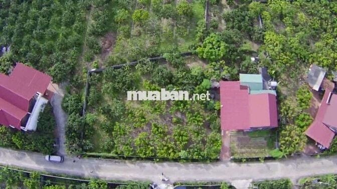 BÁN ĐẤT NỀN THỊ XÃ CHŨ BẮC NINH